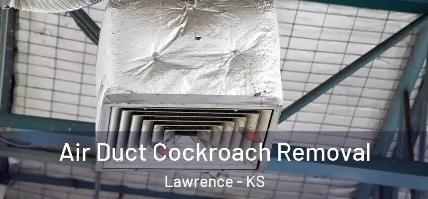 Air Duct Cockroach Removal Lawrence - KS
