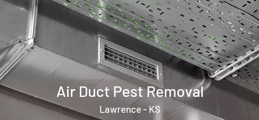 Air Duct Pest Removal Lawrence - KS