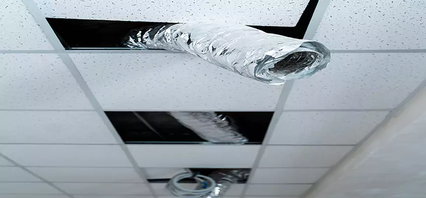 Affordable HVAC Sanitizing After Pest Removal in Lawrence