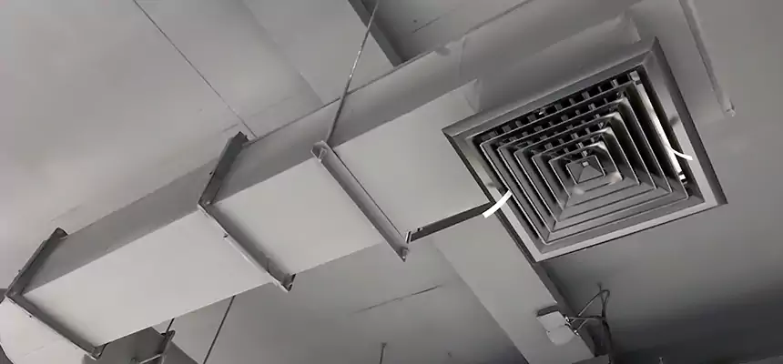 Our Pest Removal From Ducts Services in Lawrence, KS