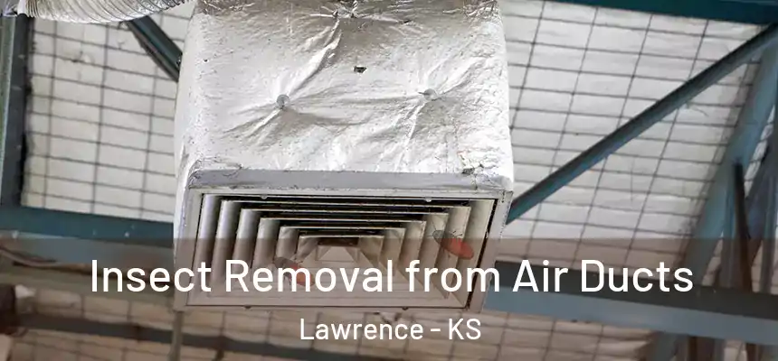 Insect Removal from Air Ducts Lawrence - KS