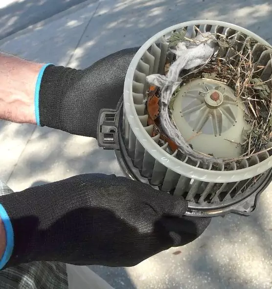 About Air Duct Mice Removal in Lawrence, KS