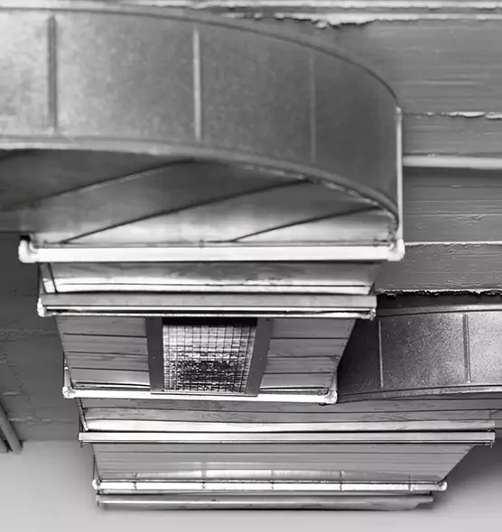 Professional Air Duct Pest Removal in Lawrence, KS