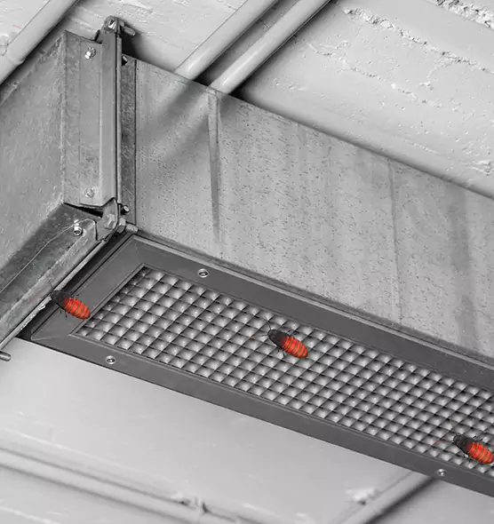 Affordable Insect Removal from Air Ducts in Lawrence, KS