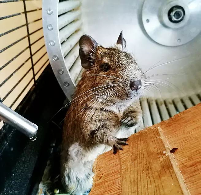 Why Homeowners & Businesses Trust Us Lawrence, KS